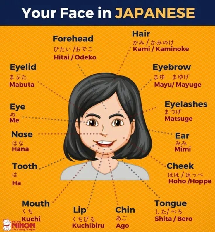 Hair language. Hair language