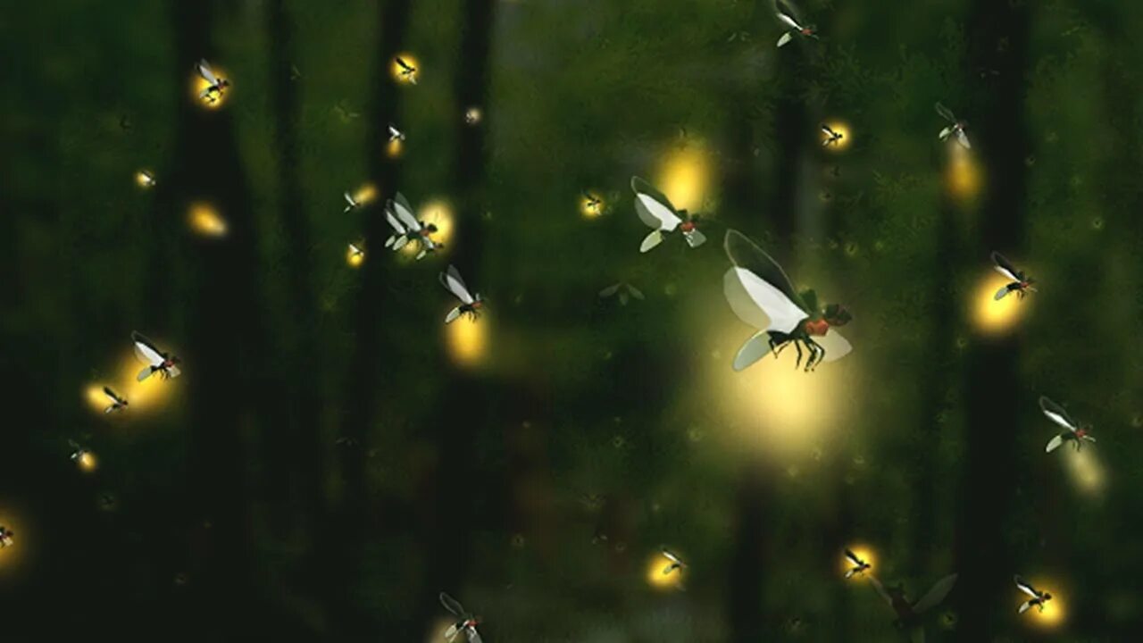 Stelle firefly
