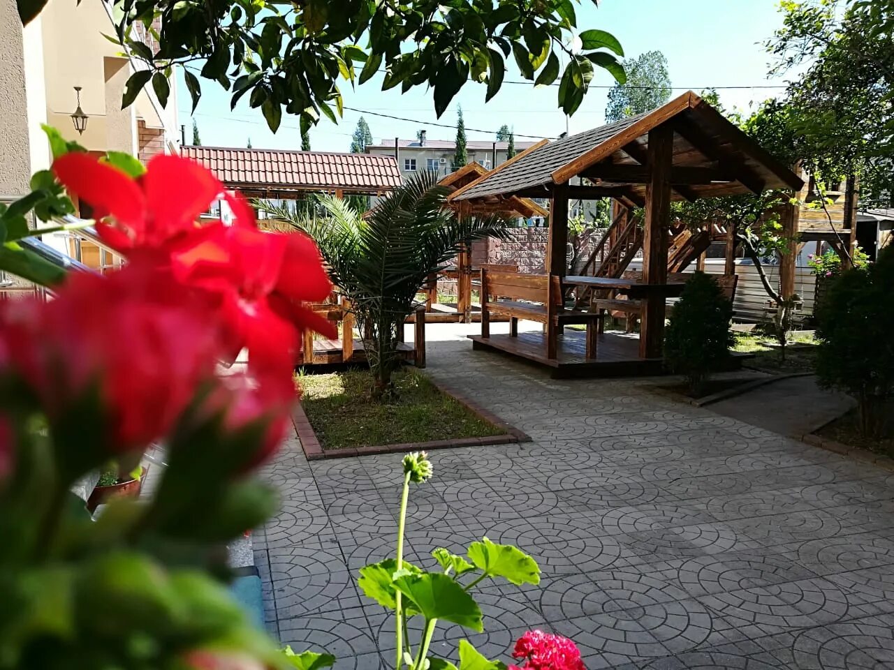 Абхазия гагры отель руно. Гостевой дом руно гагра. руно абхазия гагра. руно 3 абхазия гагра. гагра сосналиева 3.