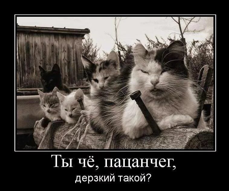 Надо быть дерзким