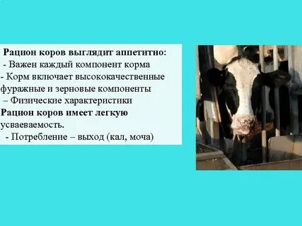 Как пишется корова