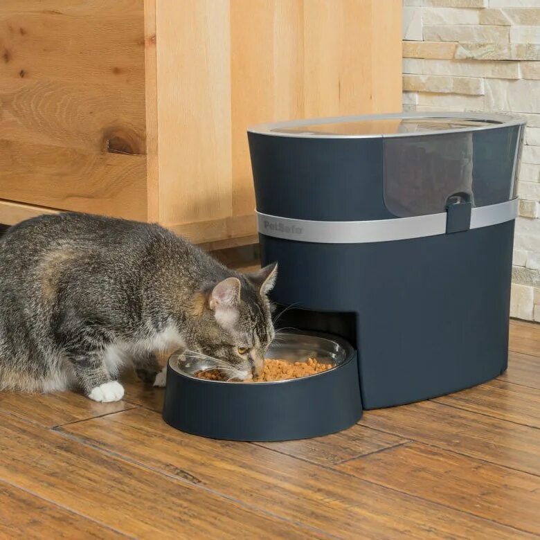 Кормушки для котов в китае. Smart Pet Feeder. Automatic Pet Feeder. Smart Feeder кормушка.