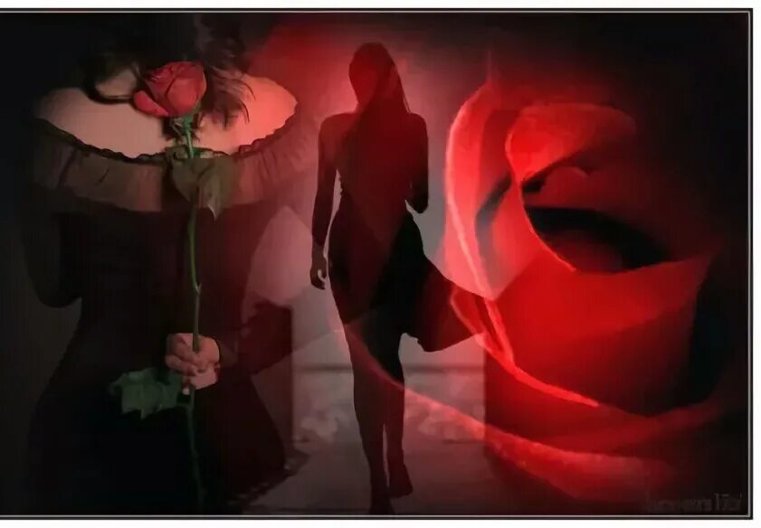 Губы твои алые розы. Губы твои алые розы. Поцелуй для любимой женщины. Поцелуй розы. Женщина с цветком в губах.