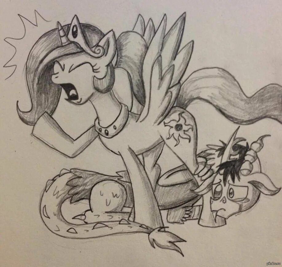 Pony 13