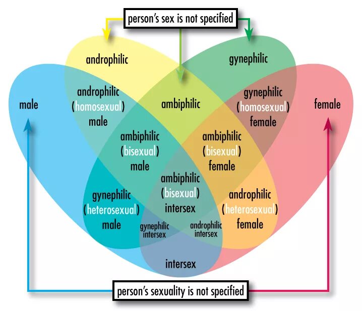Спектр гендерной идентичности. Гендерная диаграмма. Диаграмма ориентаций людей. Диаграмма ЛГБТ. Show difference