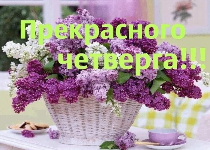 С весенним четвергом картинки с надписями. Доброе утро четверга. Доброе утро удачного четверга и хорошего настроения. Добрый день четверг. Доброе утро отличного четверга.