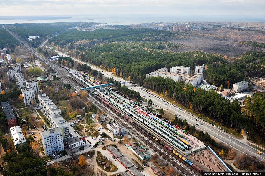 Академгородок Новосибирская область. Академический городок Новосибирск. Проспект Лаврентьева Академгородок. Новосибирский Академгородок улицы Новосибирского Академгородка. Новосибирский городок