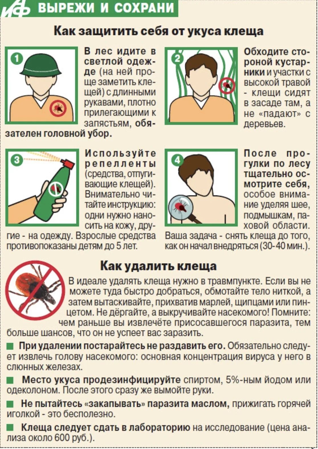 Как защититься от клещей человеку. Клещ памятка. памятка про клещей. памятка как защитить себя от клещей. памятка укус клеща.
