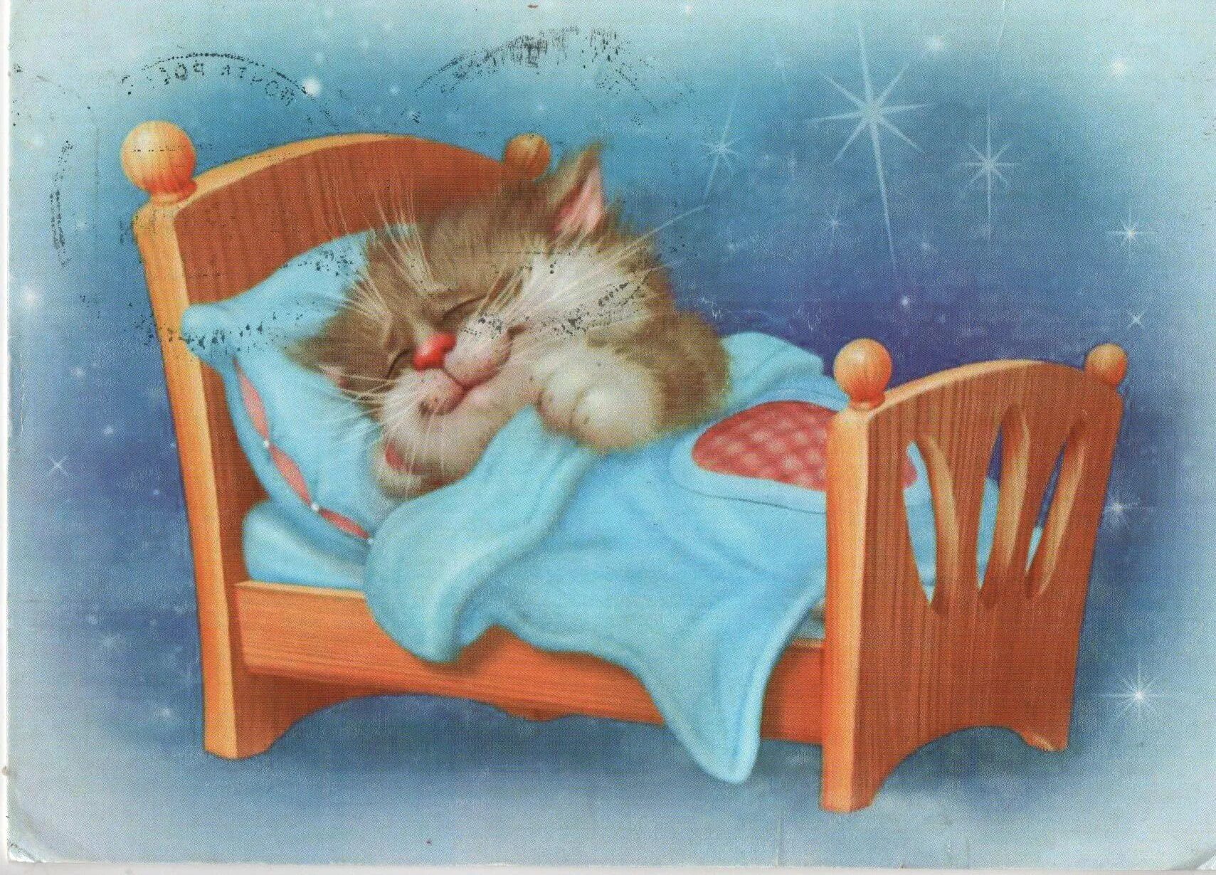 Открытки ко сну. Сладкой ночи. Котенок. Спокойной ночи!. Доброй ночи сладких снов. Спящие котята.