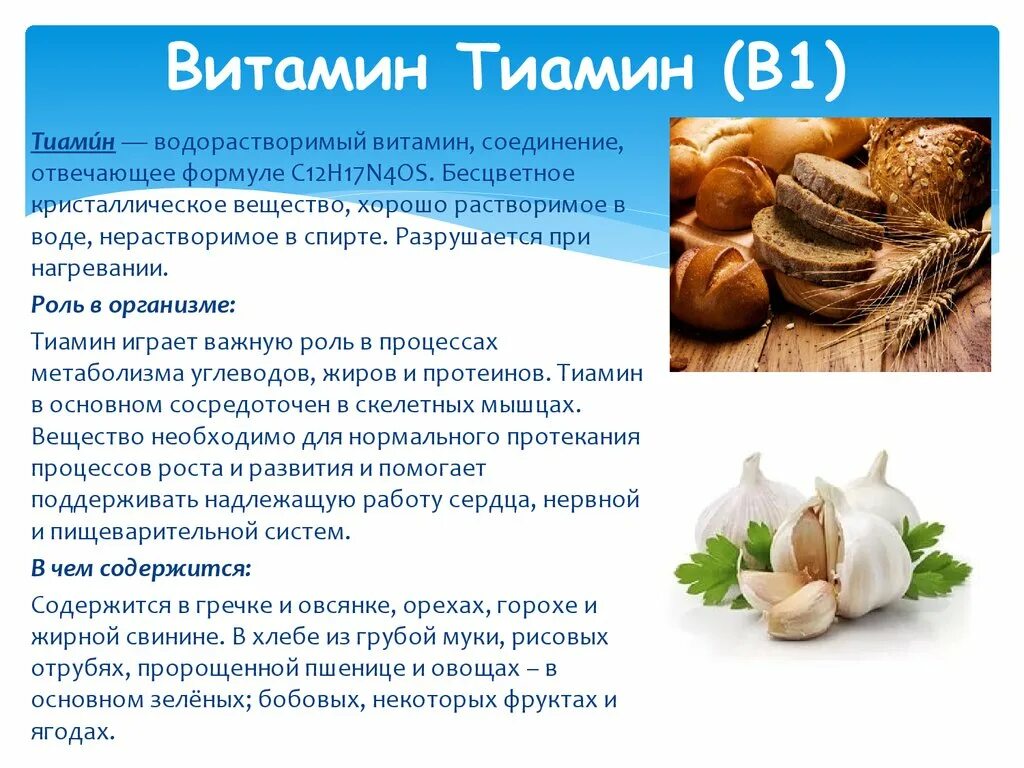 Тиамин витамин в1. Источники витамина в1 тиамина. Витамин b1 тиамин. Витамин б1 тиамин. Витамин в 1 функции