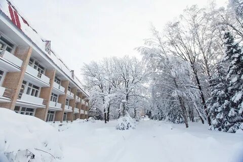 Новый год в санатории подмосковья