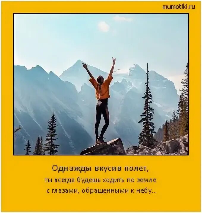 Ты в полете бывший. Ты в полете бывший