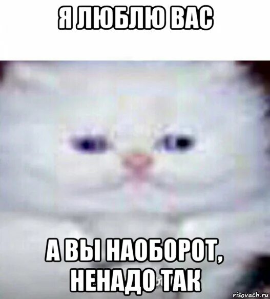Ты че мышь. Ты чо мышь мем. слышь мышь мем. ты че мышь оригинал.