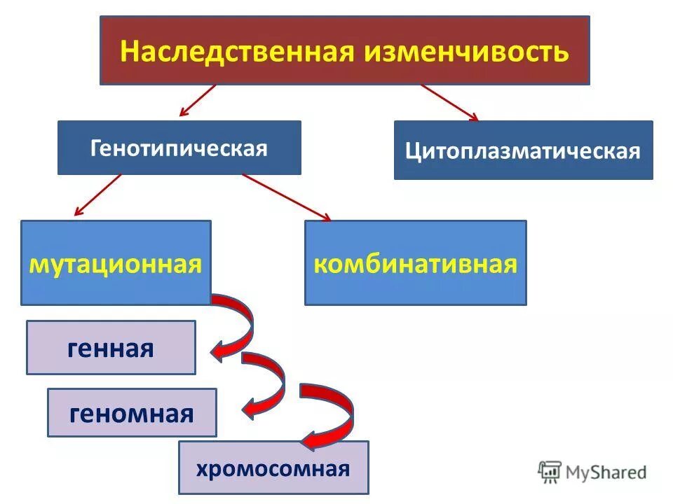 Наследственная комбинативная и мутационная