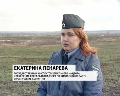 Инспектор государственного надзора