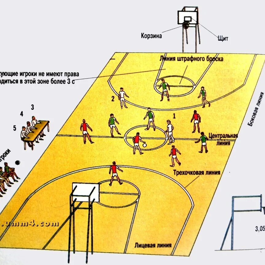 Расстановка игроков на баскетбольной площадке. Баскетбол сколько в поле. Разметка баскетбольной площадки 20х10. Цель каждой команды в баскетболе. Цель игры в баскетбол.