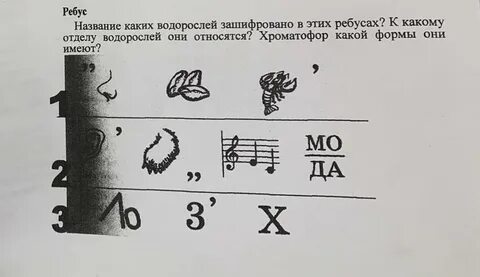 В головоломке зашифровано 9 названий