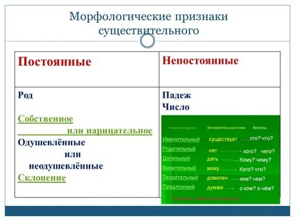 Укажите непостоянные морфологические признаки