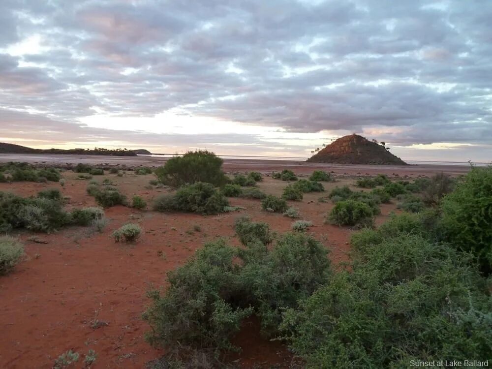 Пустыни Австралии Гибсона. Пустыня Гибсона Западная Австралия. Gibson Desert Австралия. Пустыня Гибсона фото. Пустыня гибсона австралия