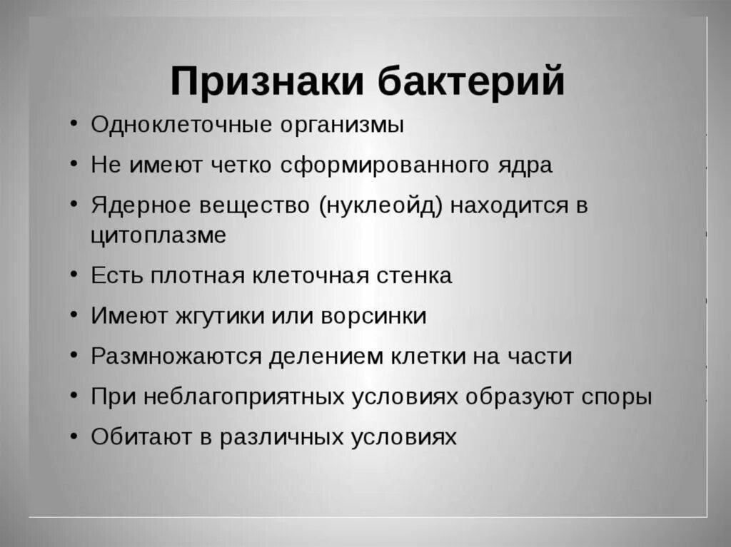 1 характерный признак бактерий