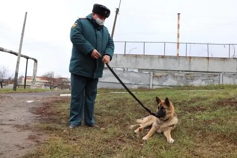 Сегодня поиск