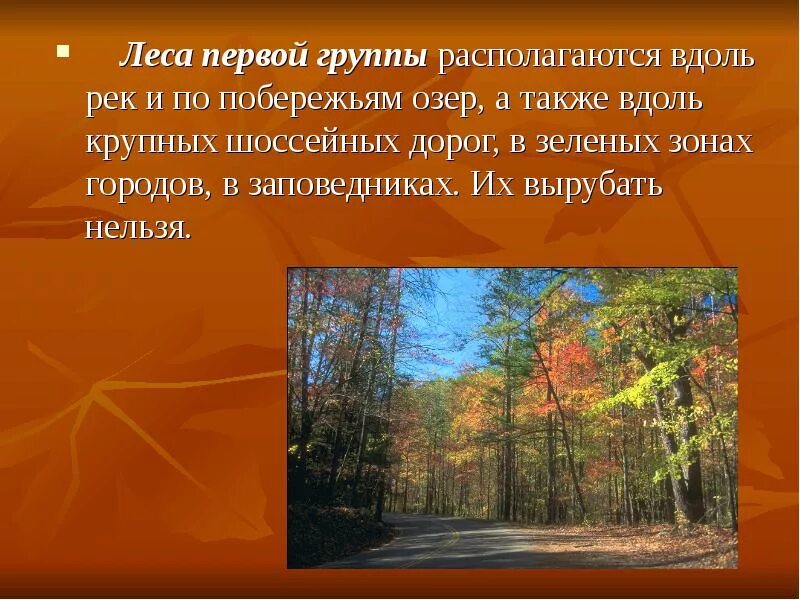 Леса 1 и 2 групп. Леса первой группы. группы лесов. леса 1 класс презентация. группы лесов россии.