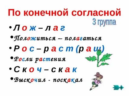Конечный корень