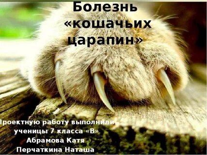 Симптом кошачьей царапины