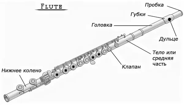 Из чего состоит флейта