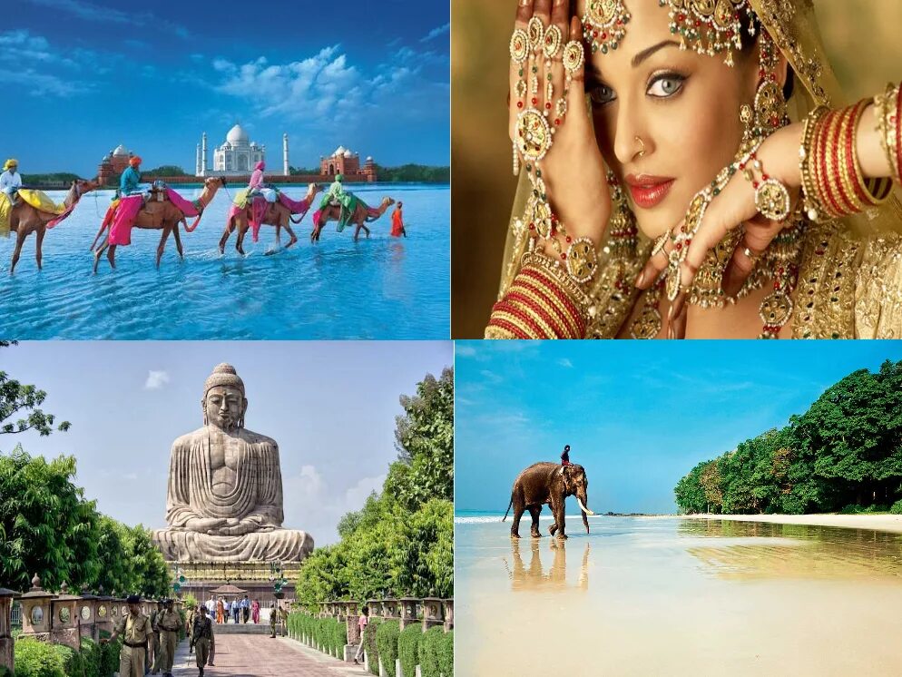 Путевка в индию 2024. Индия тур. Индия экскурсии. Индия туризм коллаж. Индия прекрасная Страна для отдыха.