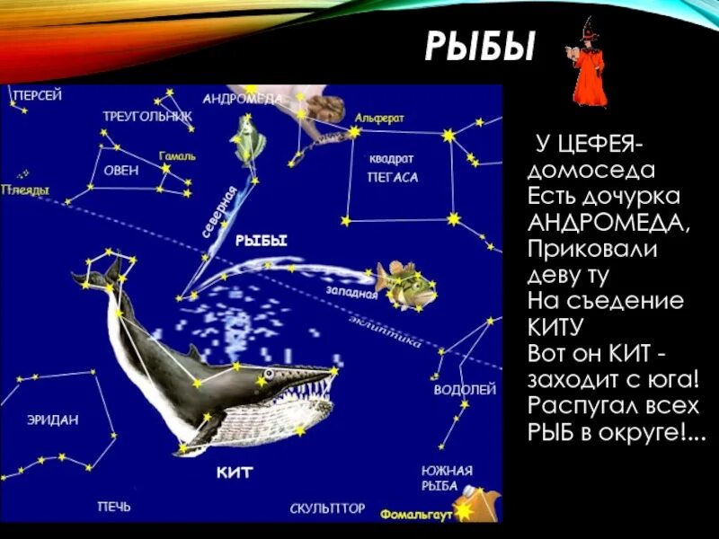 Весеннее созвездие рассказ 2 класс окружающий мир. Созвездие Цефея. Рассказ о созвездии Цефей. Созвездие рыб проект. Созвездие Цефей сообщение.