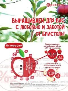 Бристоль розыгрыш квартиры по чеку