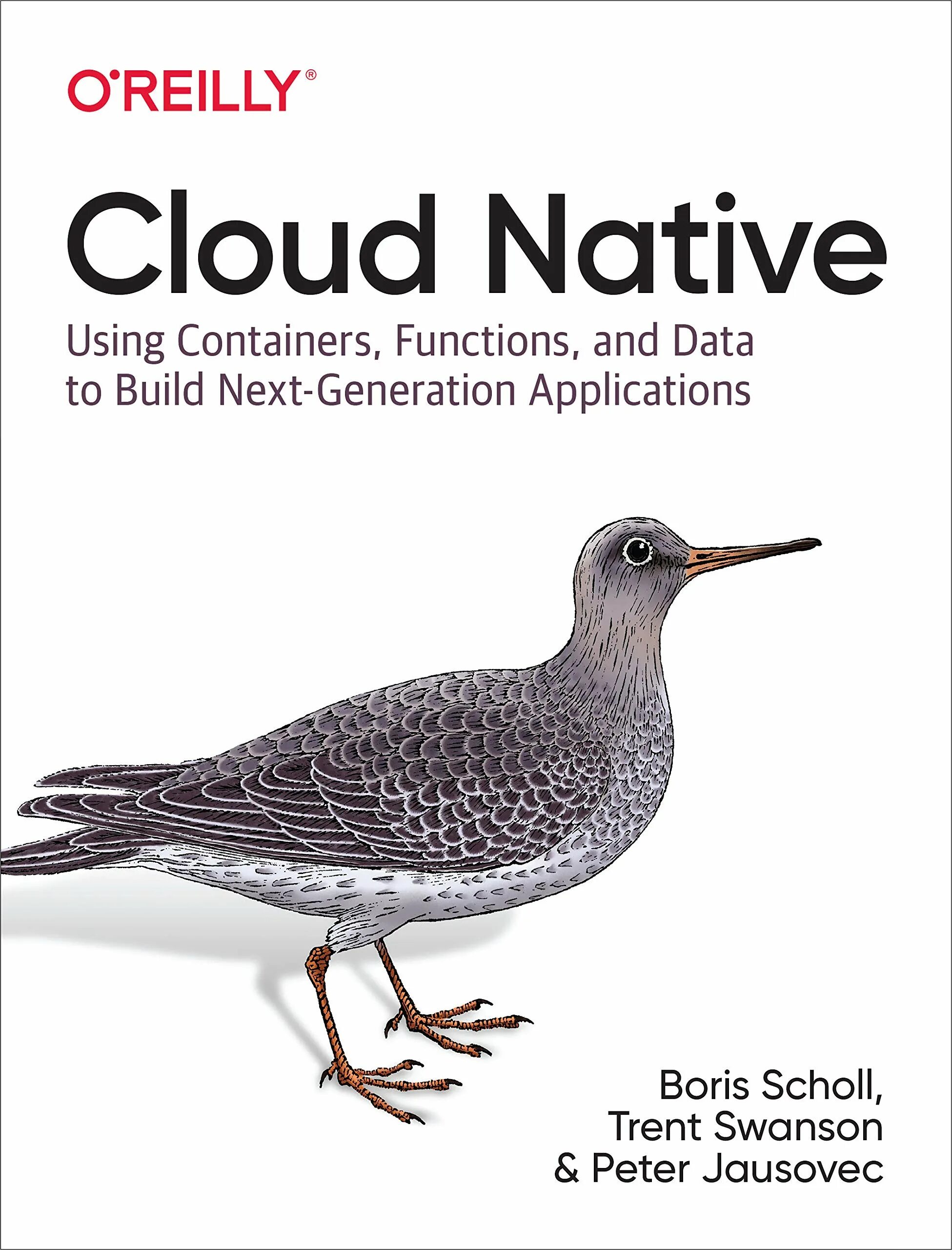 Native function library. Native function library