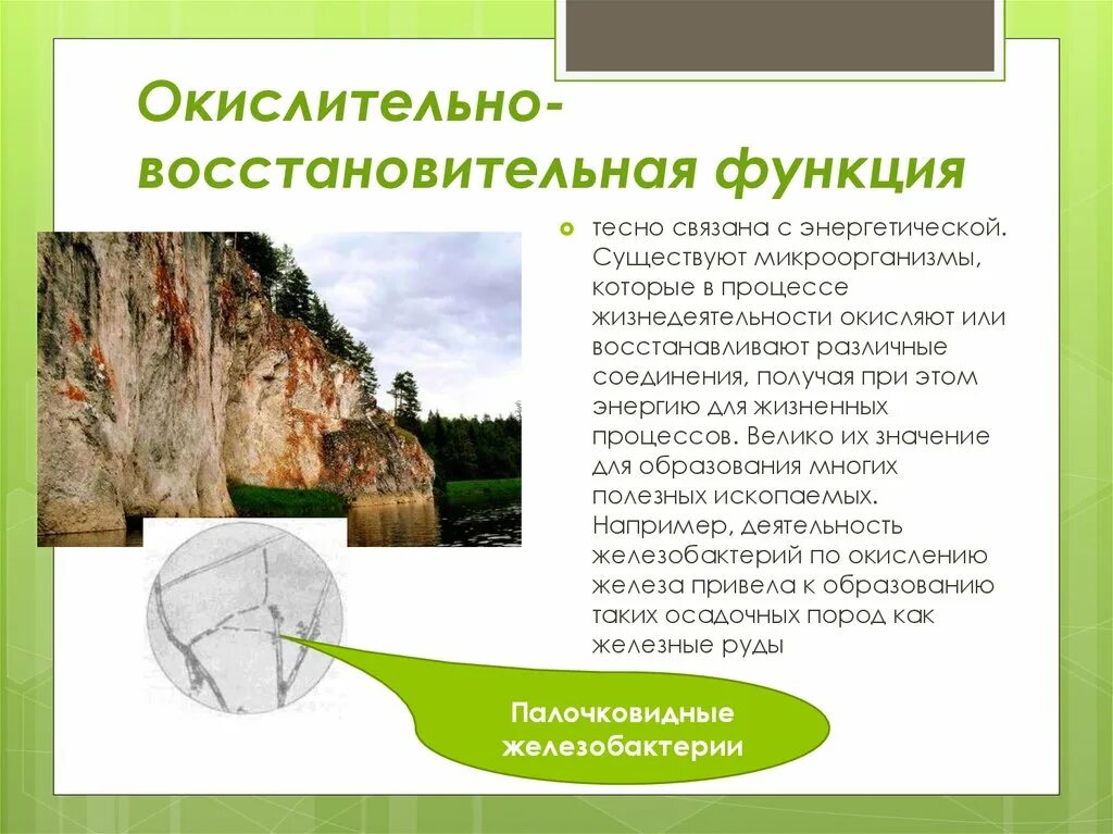 Газовая концентрационная функция биосферы