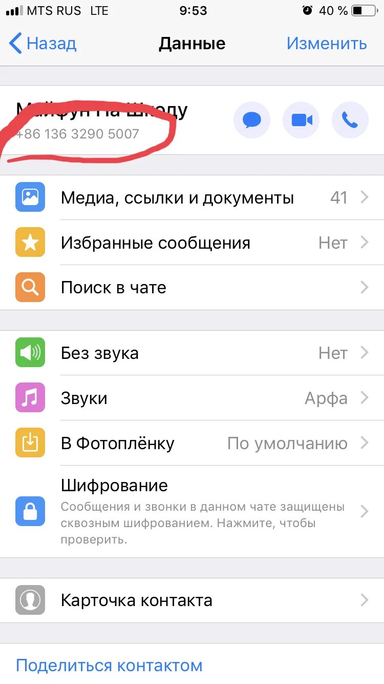 Медиа ссылки и документы. Архивированные чаты без звука. Медиа на Моем телефоне. Медиа чат. Меняем данные телефона