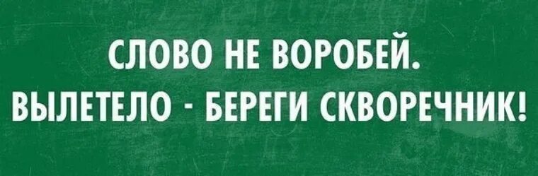 Поговорка слово не воробей вылетит не поймаешь. Слово не воробей вылетит не поймаешь. Слово не воробей вылетит не поймаешь объяснение. Слово не воробей вылетит не поймаешь объяснение. Слово не воробей вылетит не поймаешь а дальше.