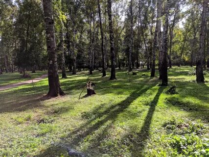 Роща новосибирск