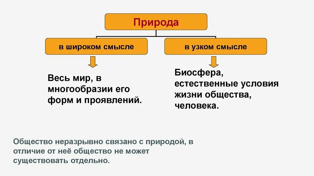 Примеры общества