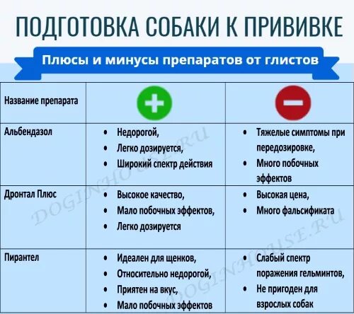 За сколько перед прививкой глистогонить собаку