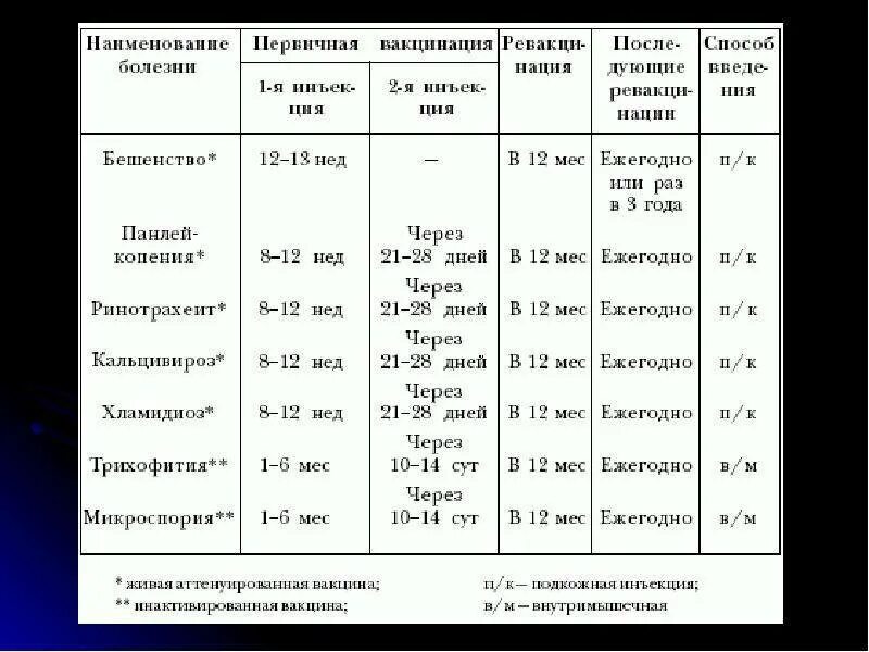 Собака интервал. Какие прививки нужно собаке после года. Собака интервал. Прививки у собак график прививок по возрасту таблица. Прививки щенкам по возрасту таблица йоркам.