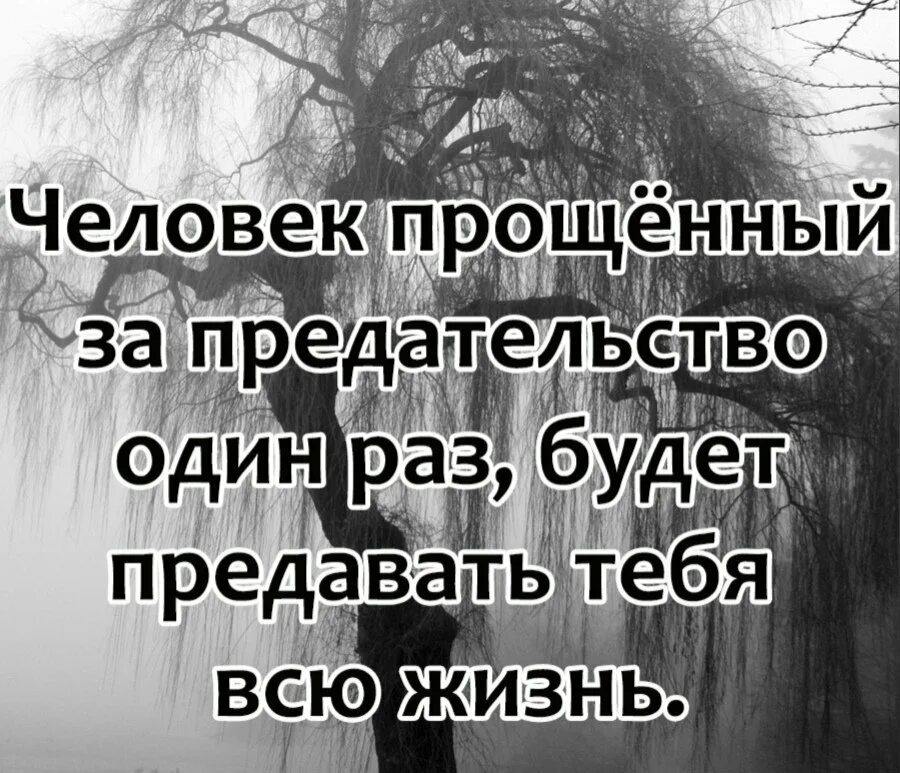 Аудиокнига прощай предатель. Чандлер м. "опущенная". Прощай красавица реймонд чандлер. Аудиокнига прощай предатель.
