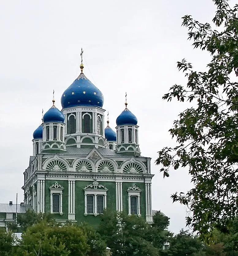 зеленая елец