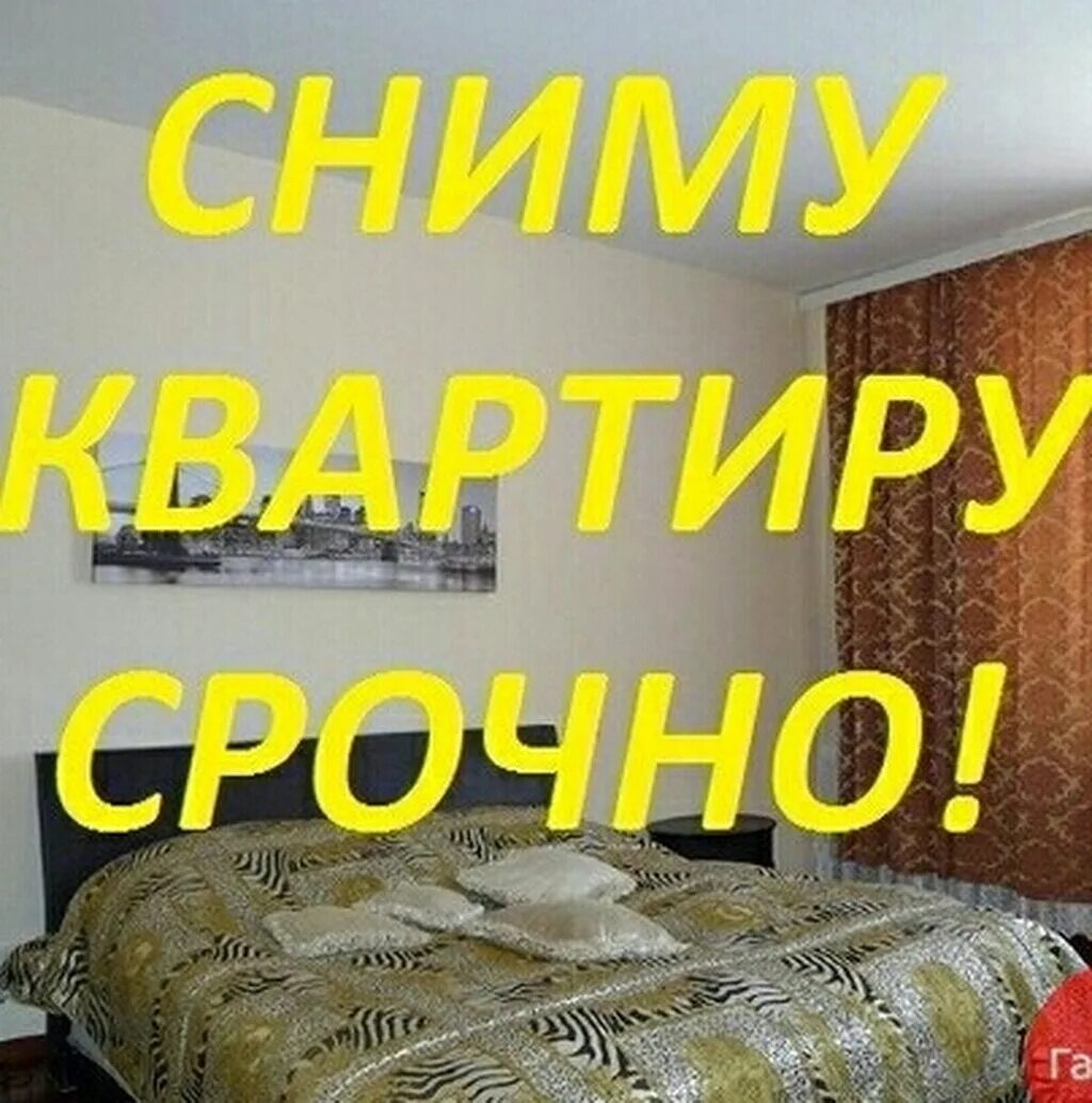 Сниму квартиру или дом на длительный срок. Ищу квартиру. сниму квартиру. ищите квартиру. срочно сниму.