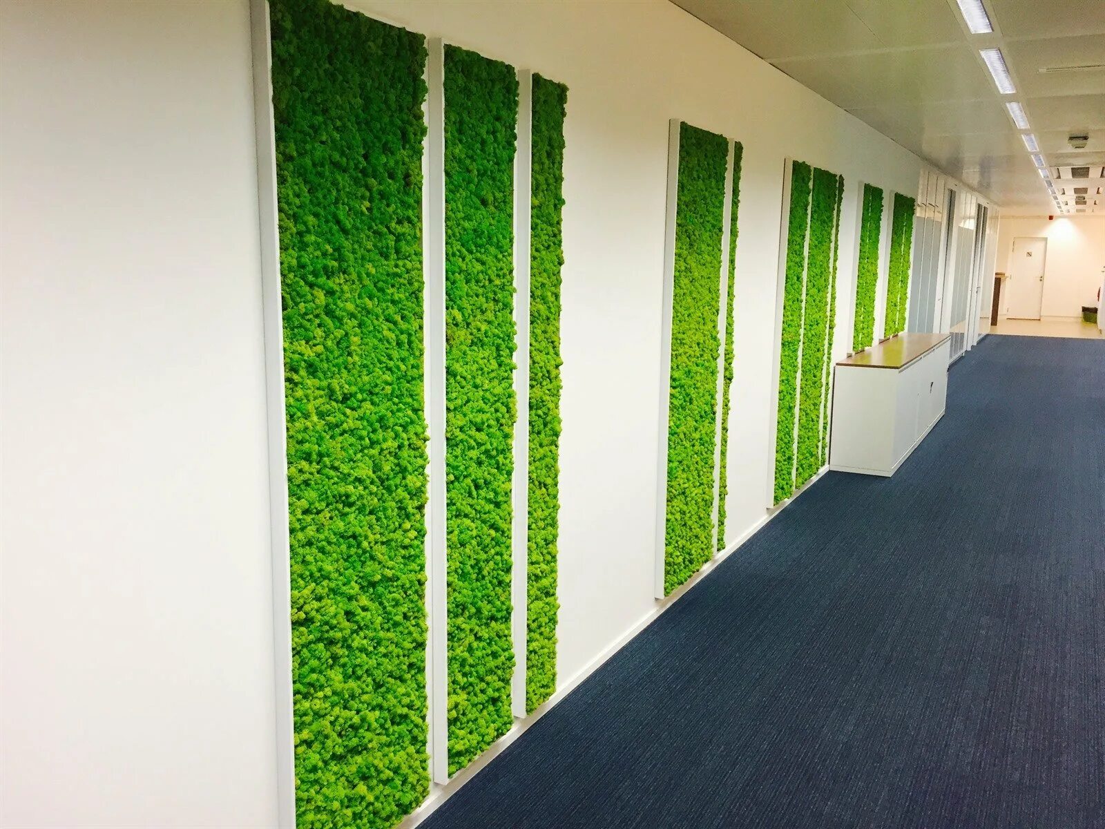 Искусственная трава на стену фото Pin by Len Sinima on Зелень will-o'-wisp Artificial grass wall, Artificial grass