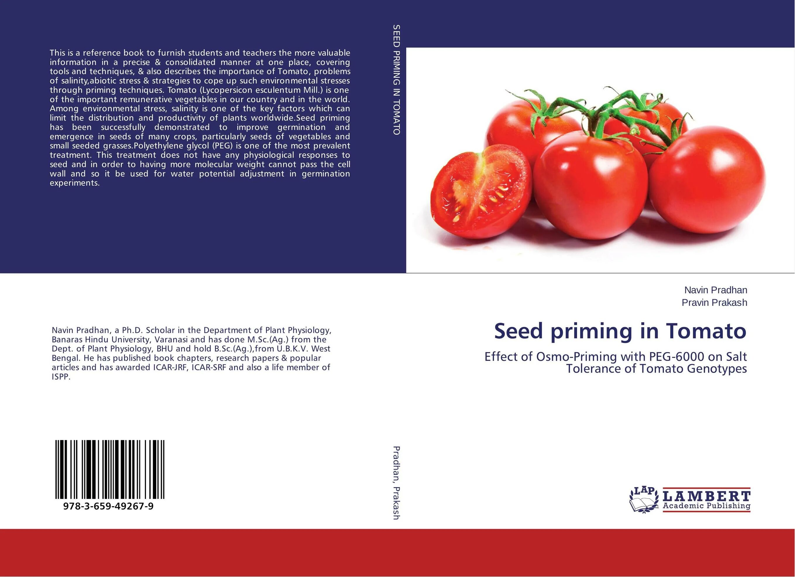Топ модель сорт топ модель томаты характеристика. Картинка tomato hybrid. one tomato. томат белое золото. топ модель томат описание.