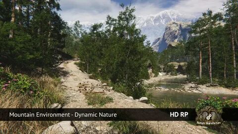 Mountain environment