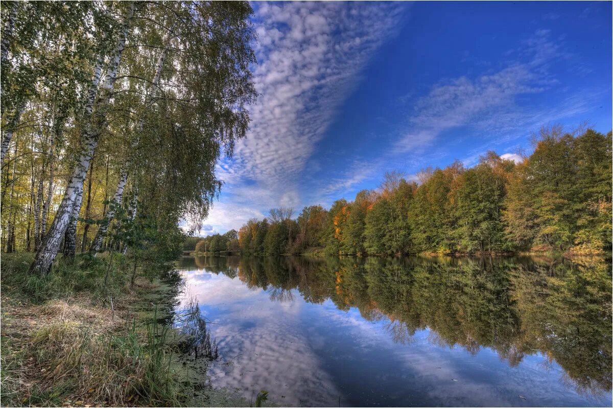 Фруктовая река. Река черная Луховицы. Речка черная Луховицы. Луховицы природа. Река в Луховицах.