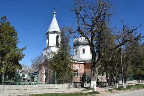 Н зуя