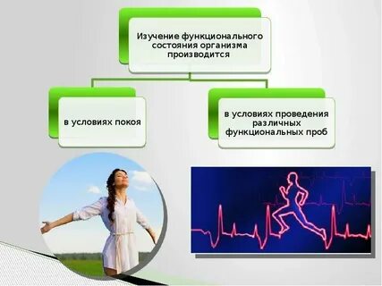 Общее состояние организма это