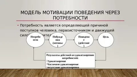 Потребности и мотивы поведения